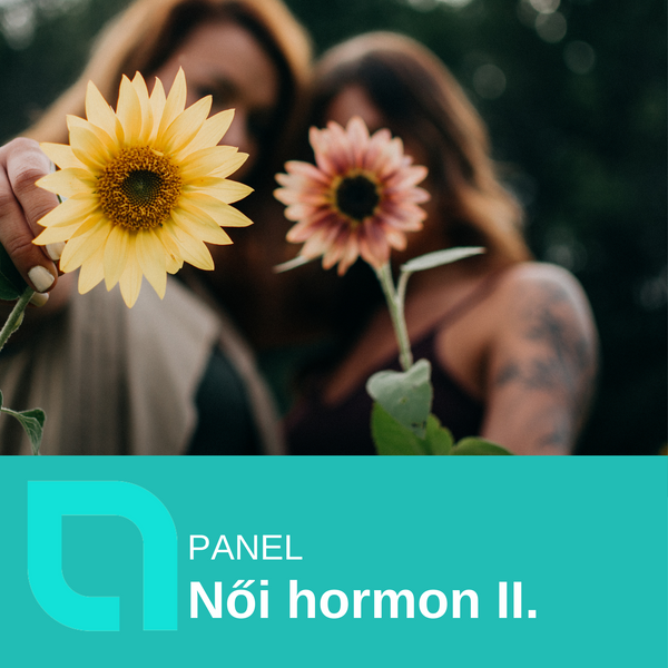 Női hormon II. panel